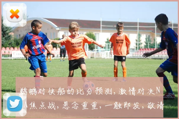 鹈鹕对快船的比分预测,激情对决NBA焦点战,悬念重重,一触即发,敬请期待