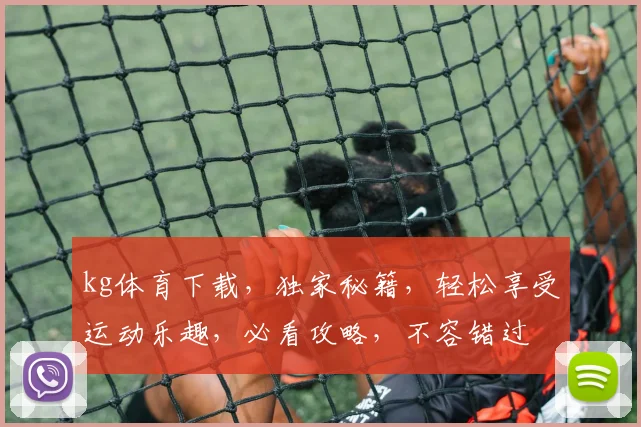 kg体育下载，独家秘籍，轻松享受运动乐趣，必看攻略，不容错过